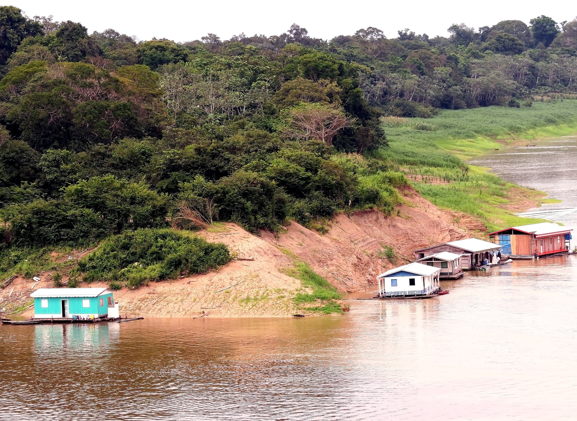 Amazonas