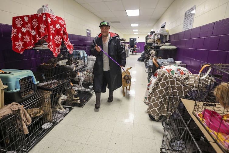 A man walks a dog among stacks of pet crates lining the walls of a school hallway.